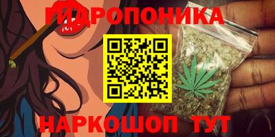 MDMA Заводоуковск
