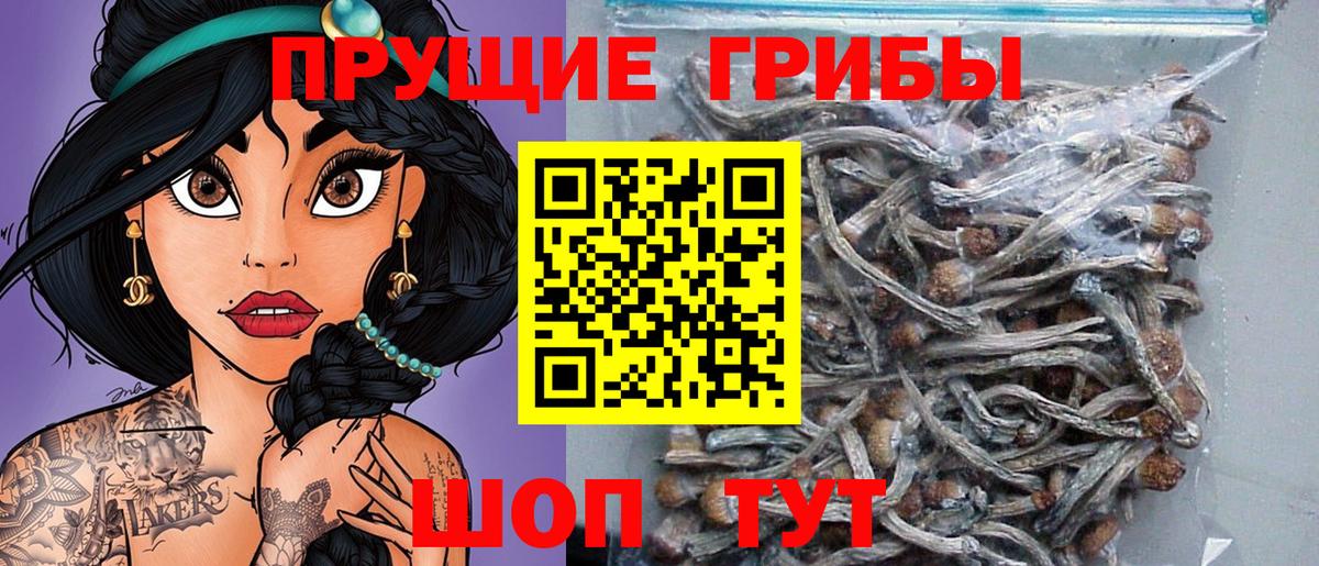 Псилоцибиновые грибы мицелий Люберцы