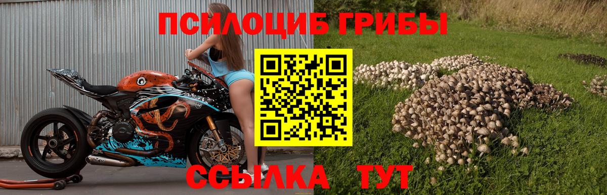 Люберцы  купить наркотик  Вход с VPN  Псилоцибиновые грибы MAGIC MUSHROOMS 